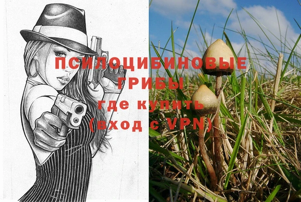 марки lsd Абаза