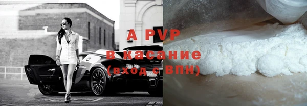 тгк Каменногорск